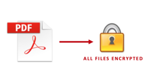 Analyzing PDF Documents